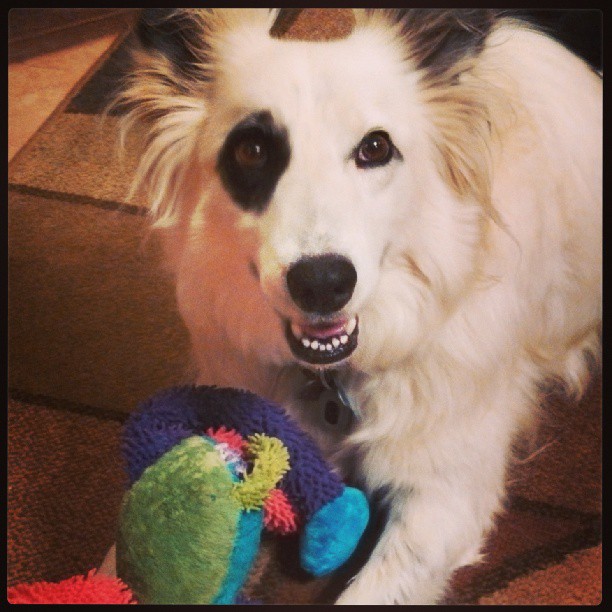 524439_10201910219295985_1407017641_n