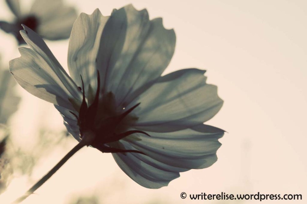 6190710942_e1a33750f5_b