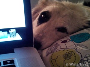 Least helpful writing assistant ever.