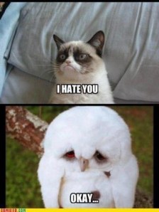 image_by_xxspiritwolf2000xx-d6i7jis