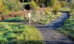 I'm gonna pick the one that screams "Do No Enter." It looks like an adventure.