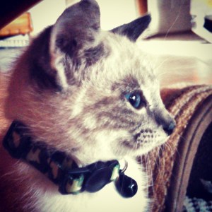 The New Kid. Or as I call him, Finn.