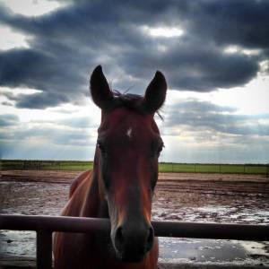 Pictured: Someone who thinks she's starving.