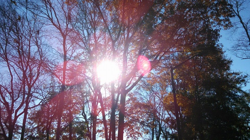 10006928_10205663293760501_8843979388557539690_n